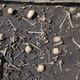 Some of the battlefield remains found at the site.